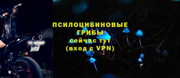 синтетический гашиш Арсеньев