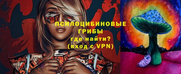 Альфа ПВП Аркадак