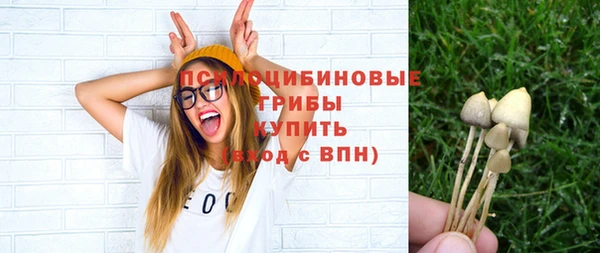 Альфа ПВП Аркадак